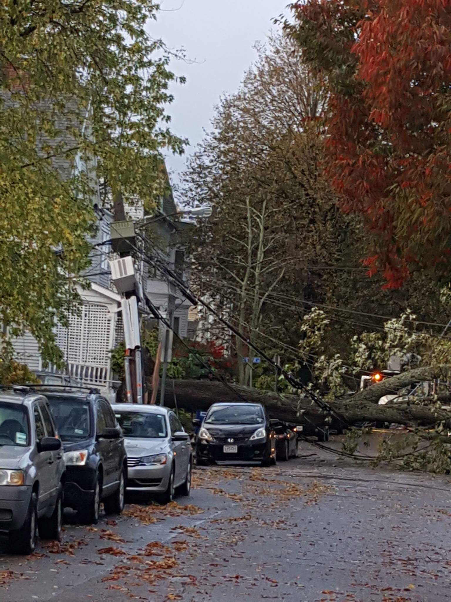 Storm Damage Around Somerville from Sunday’s Windy/Rainy Weather The Somerville/Medford News