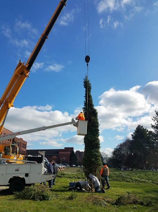 Somerville City Hall Christmas Tree Has Arrived The Somerville