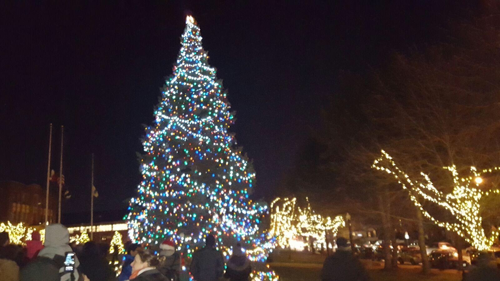 Celebrate the Holidays in Somerville with Christmas Tree Lighting